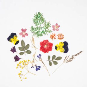押し花タトゥーが超かわいい おすすめの通販サイト 作り方まで徹底解説 みんなのタトゥー 押し花タトゥーが超かわいい おすすめの通販サイト 作り方まで徹底解説 みんなのタトゥー