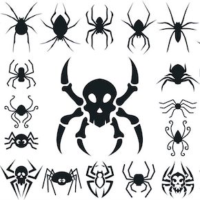 蜘蛛 スパイダー のタトゥーの意味とは クモの巣の解説もあり みんなのタトゥー