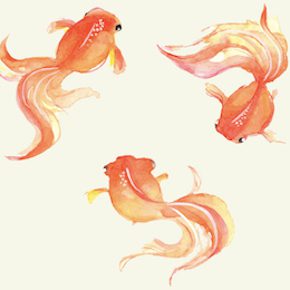 3匹の金魚