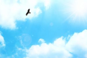 翼 羽根のタトゥーの意味を解説します デザイン画像あり みんなのタトゥー