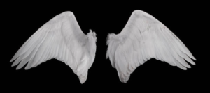 天使の翼（羽根）