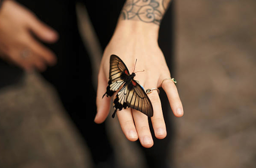 意味 蝶々 【色別】蝶々が持つスピリチュアルな意味は？アゲハは幸運の前兆？