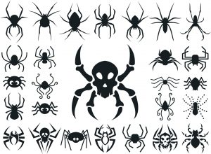 蜘蛛（スパイダー）のタトゥーの意味とは？クモの巣の解説もあり！